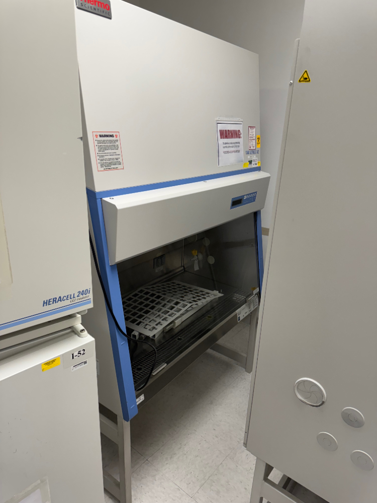 Image of Thermo 1300 Series A2 4' BioSafety Cabinet